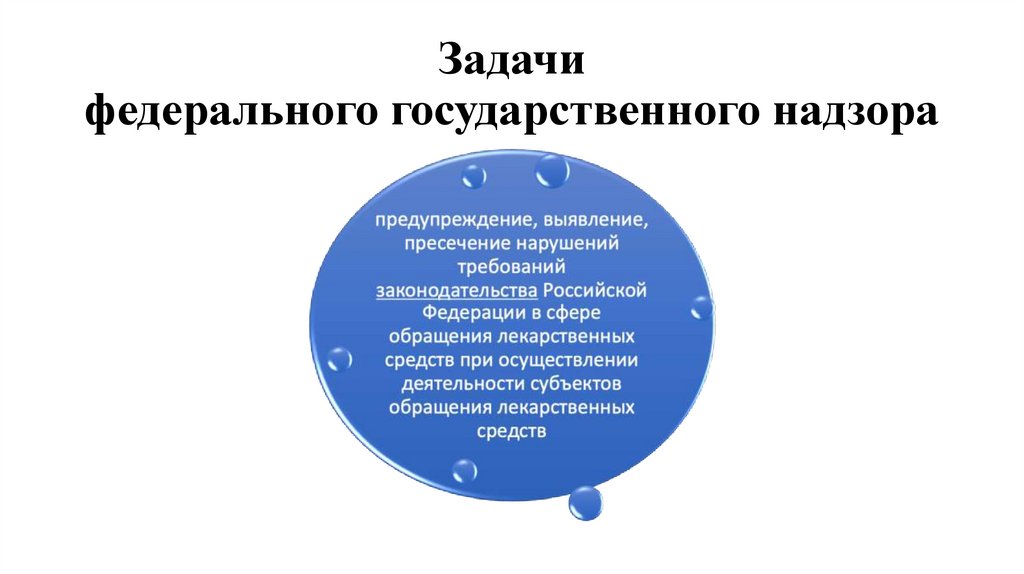Задачи федерального государственного надзора