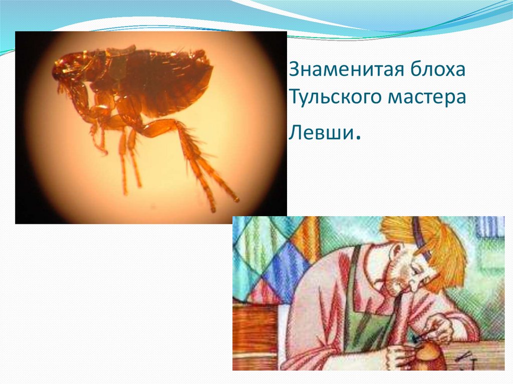 Знаменитая блоха Тульского мастера Левши.