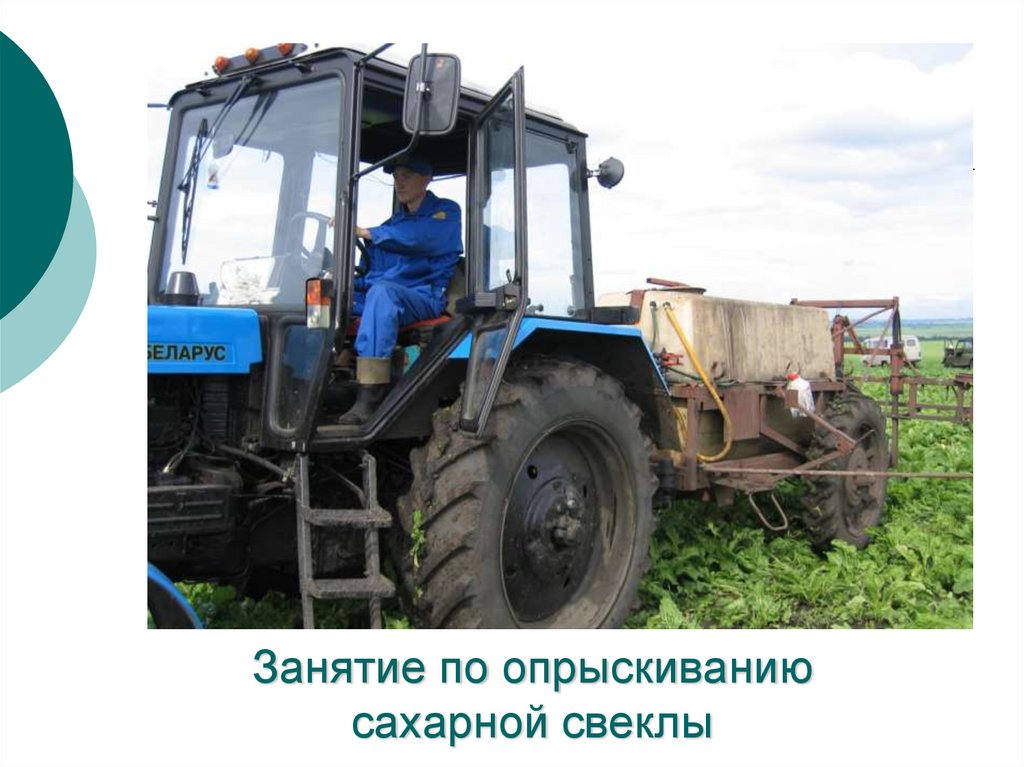 Занятие по опрыскиванию сахарной свеклы