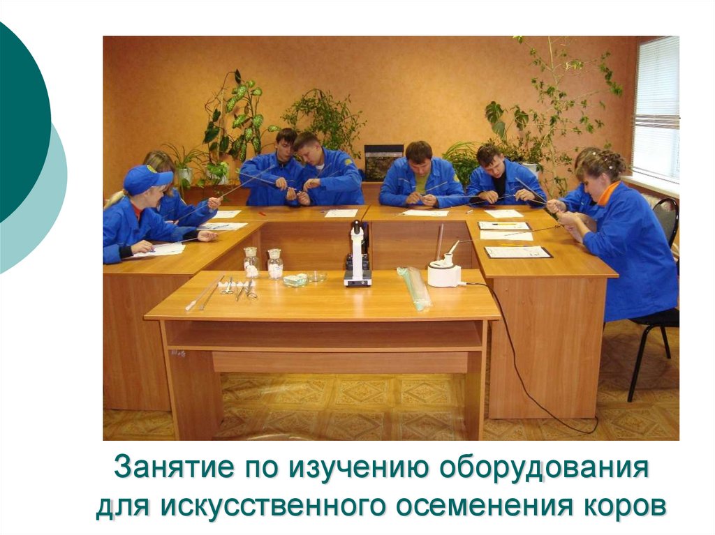 Занятие по изучению оборудования для искусственного осеменения коров