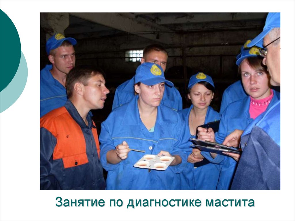 Занятие по диагностике мастита