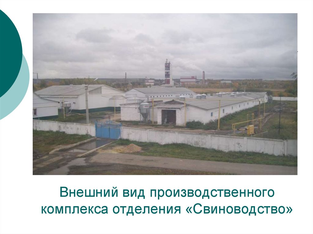 Внешний вид производственного комплекса отделения «Свиноводство»