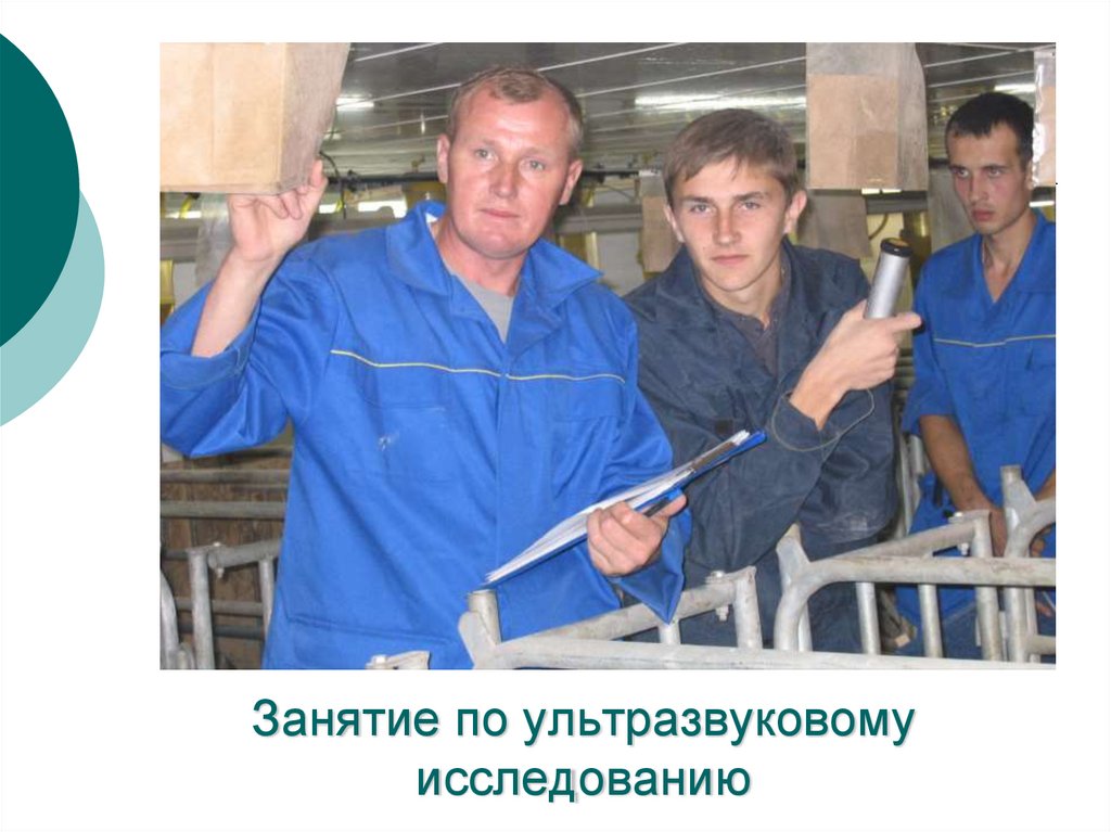 Занятие по ультразвуковому исследованию