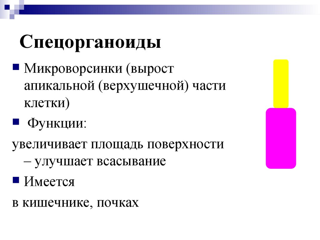 Спецорганоиды