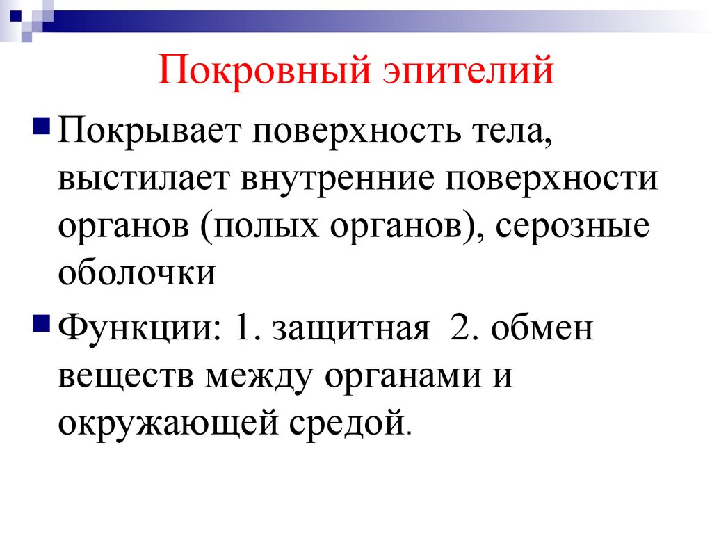 Покровный эпителий