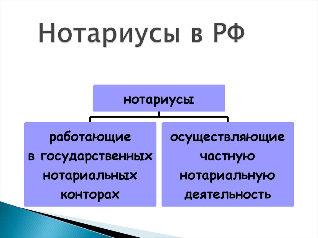 Нотариусы в РФ