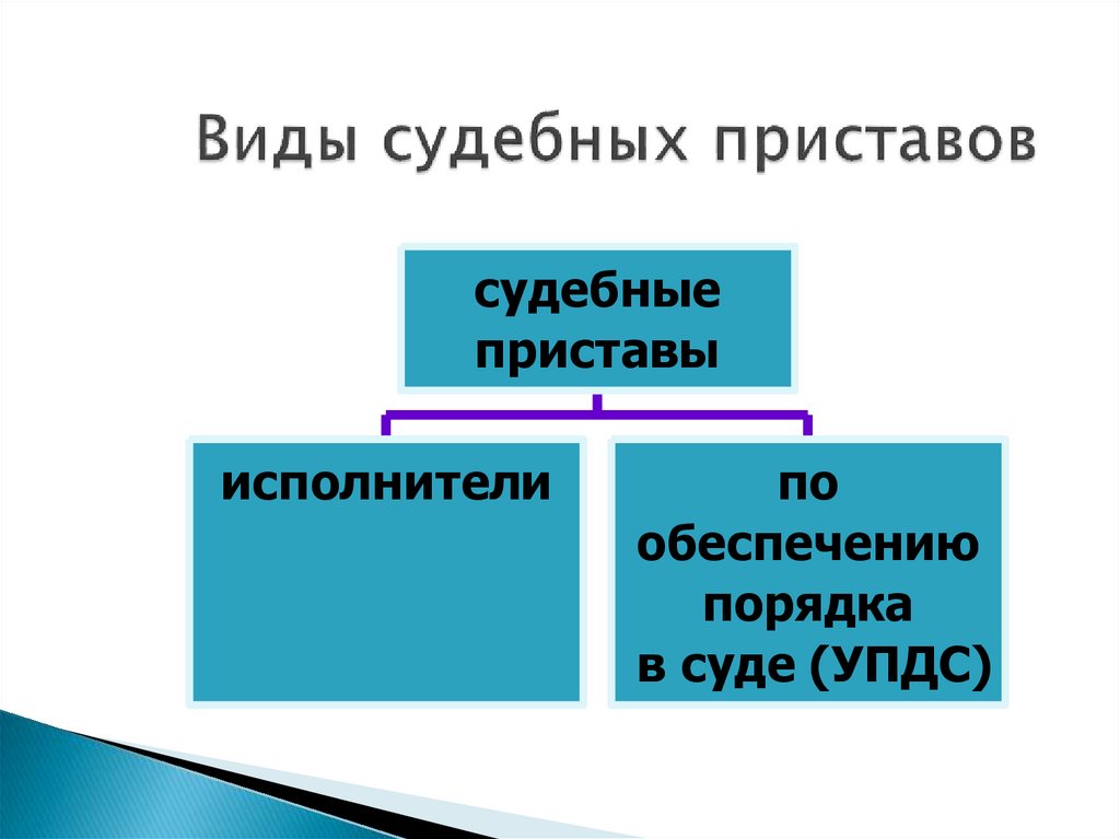 Виды судебных приставов