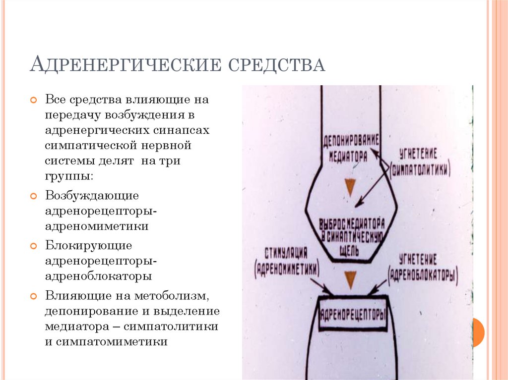 Адренергические средства