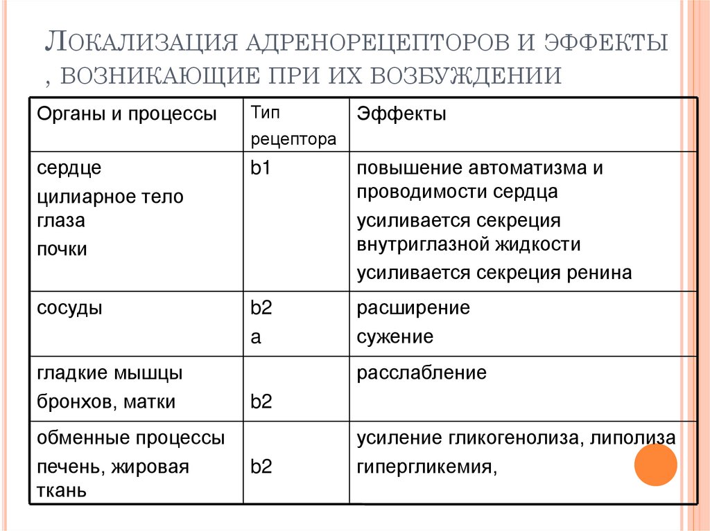 Локализация адренорецепторов и эффекты , возникающие при их возбуждении