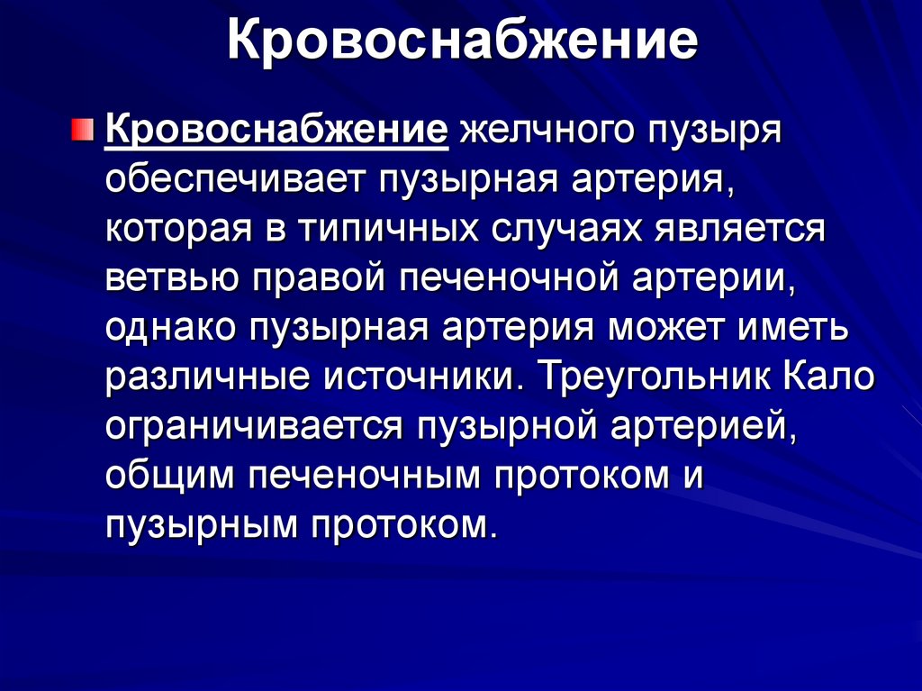 Кровоснабжение