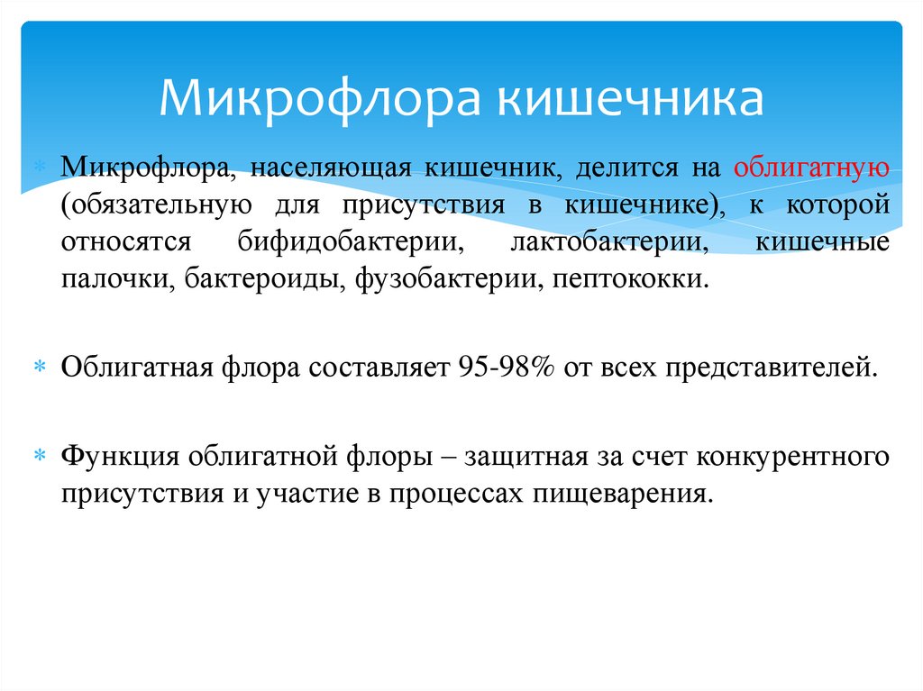 Микрофлора кишечника