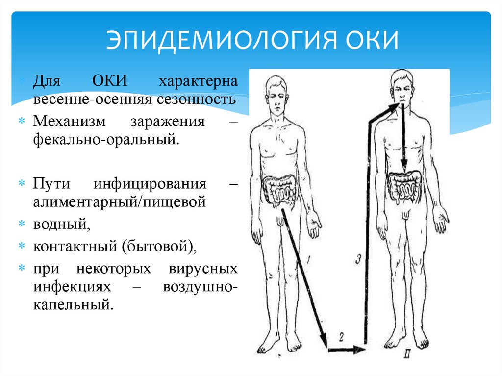 ЭПИДЕМИОЛОГИЯ ОКИ