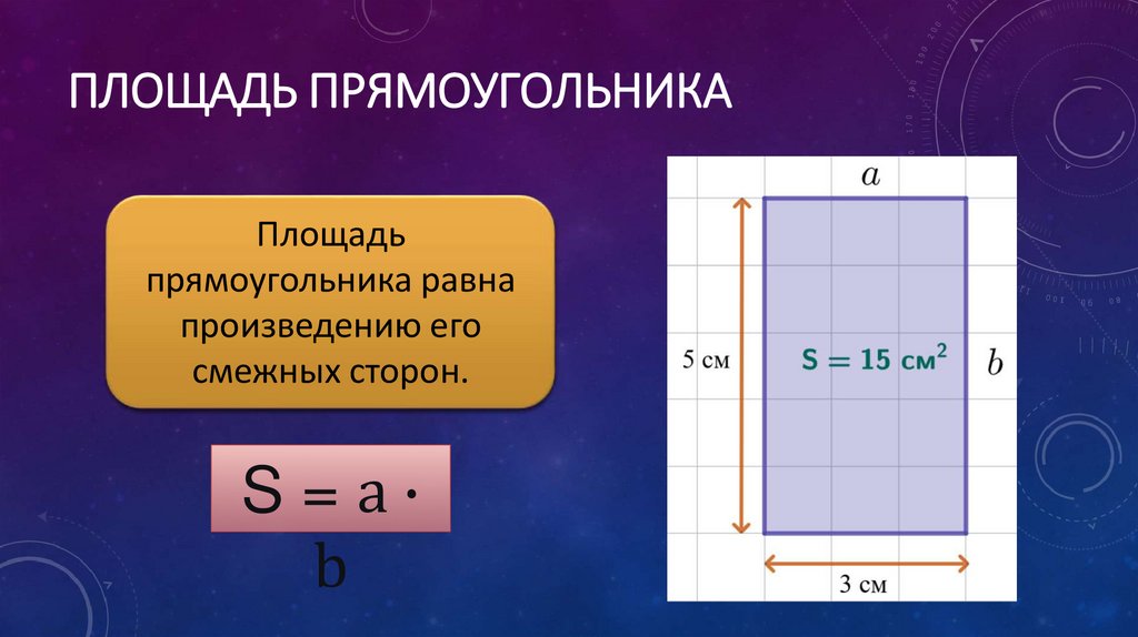 Площадь прямоугольника