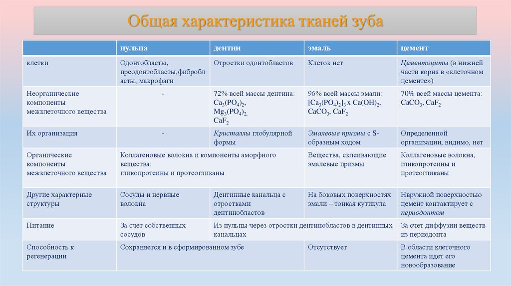 Общая характеристика тканей зуба