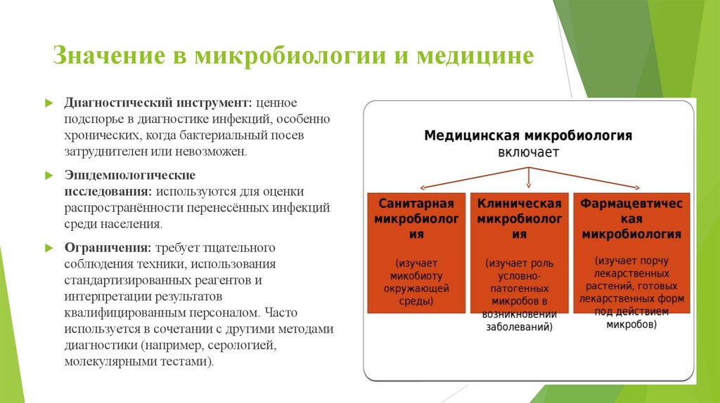 Значение в микробиологии и медицине