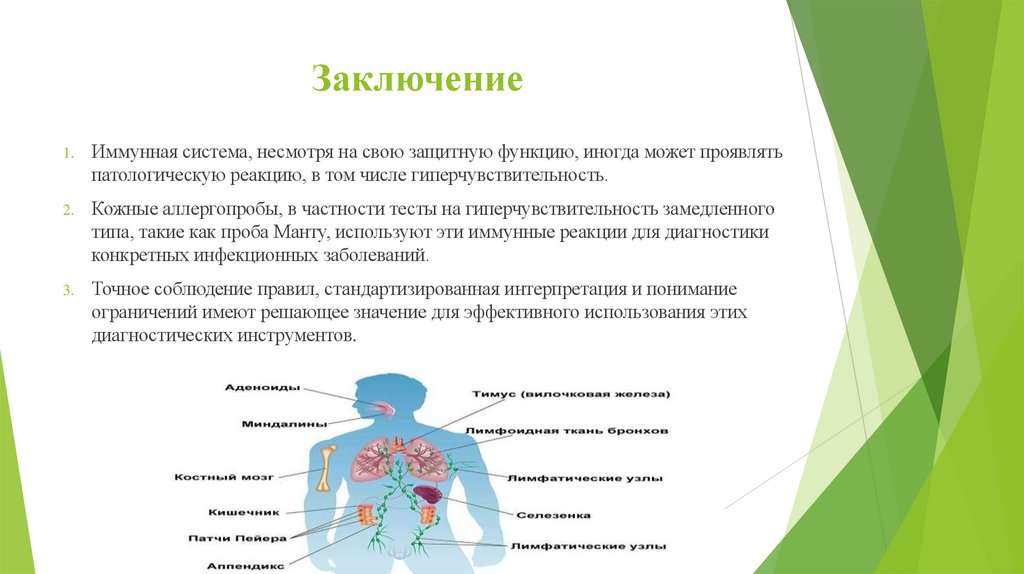 Заключение