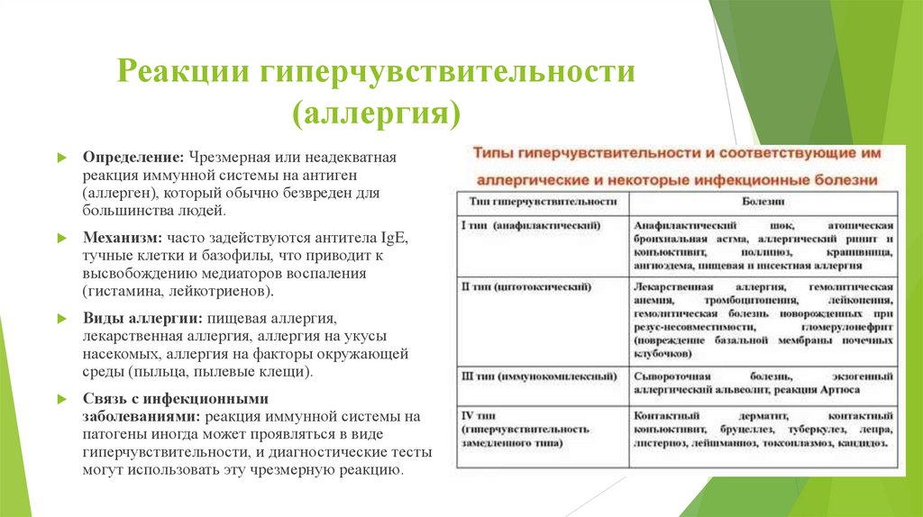 Реакции гиперчувствительности (аллергия)