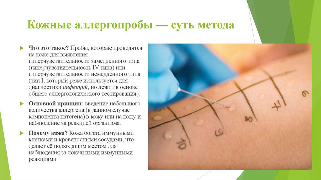 Кожные аллергопробы — суть метода