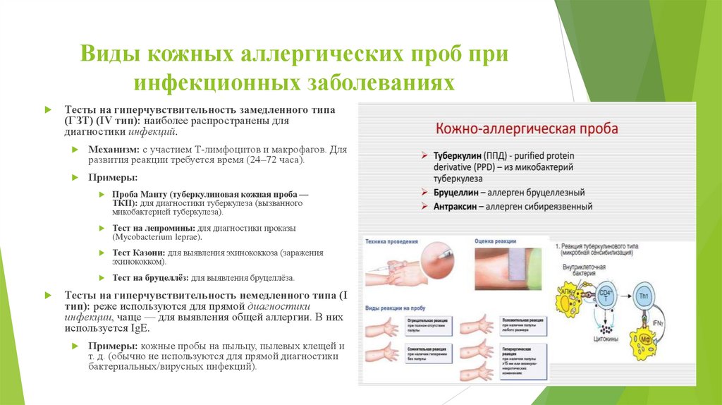 Виды кожных аллергических проб при инфекционных заболеваниях