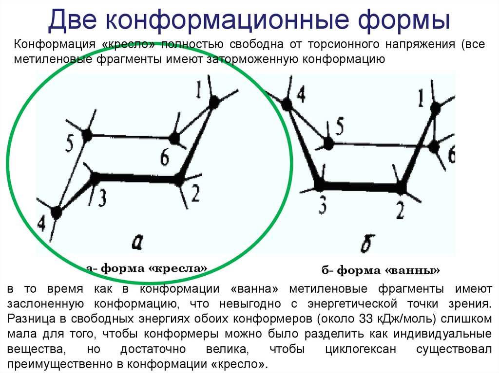 Две конформационные формы
