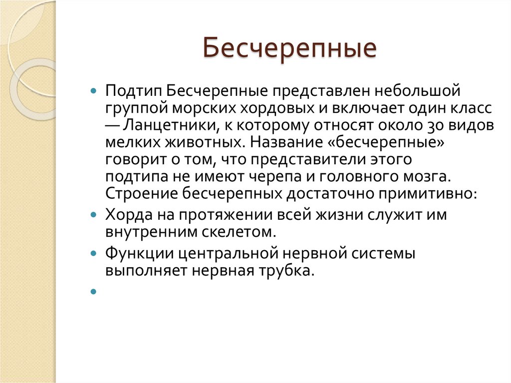 Бесчерепные