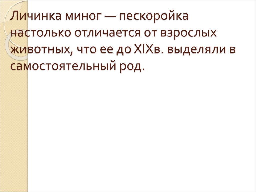 Личинка миног — пескоройка настолько отличается от взрослых животных, что ее до XIXв. выделяли в самостоятельный род.