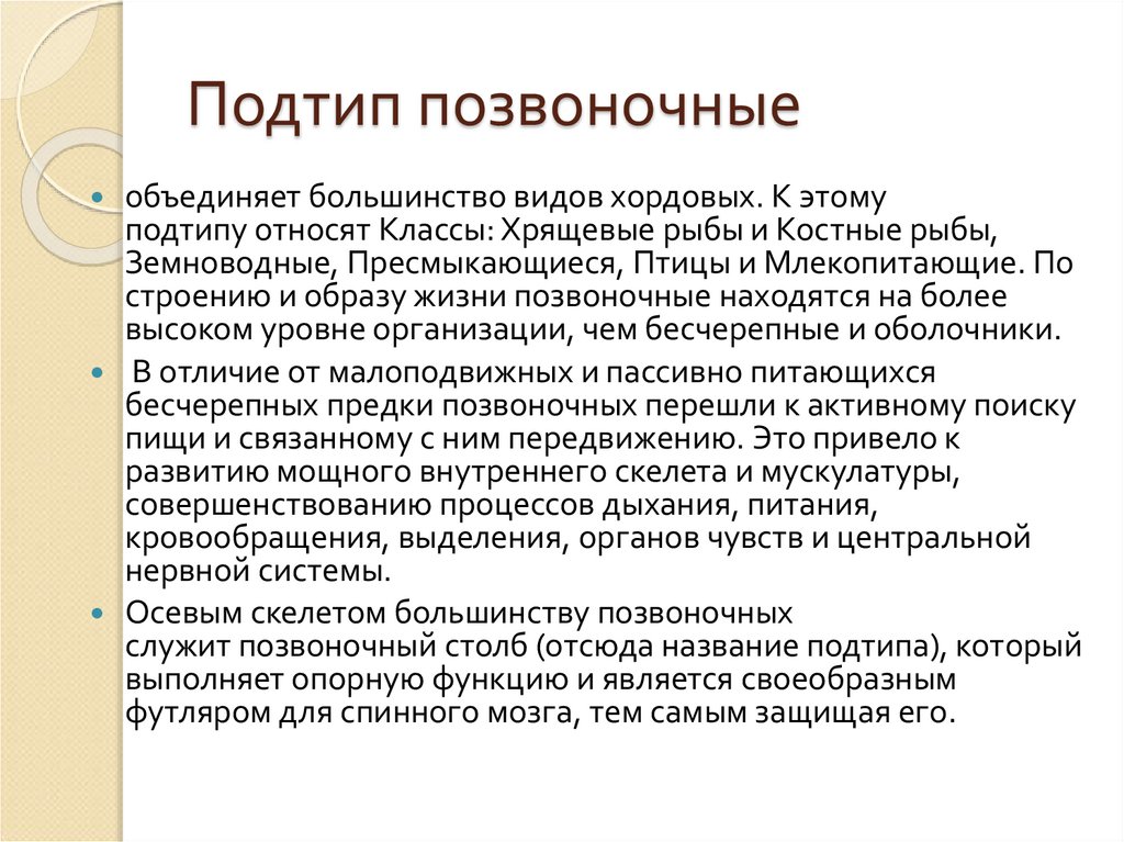 Подтип позвоночные