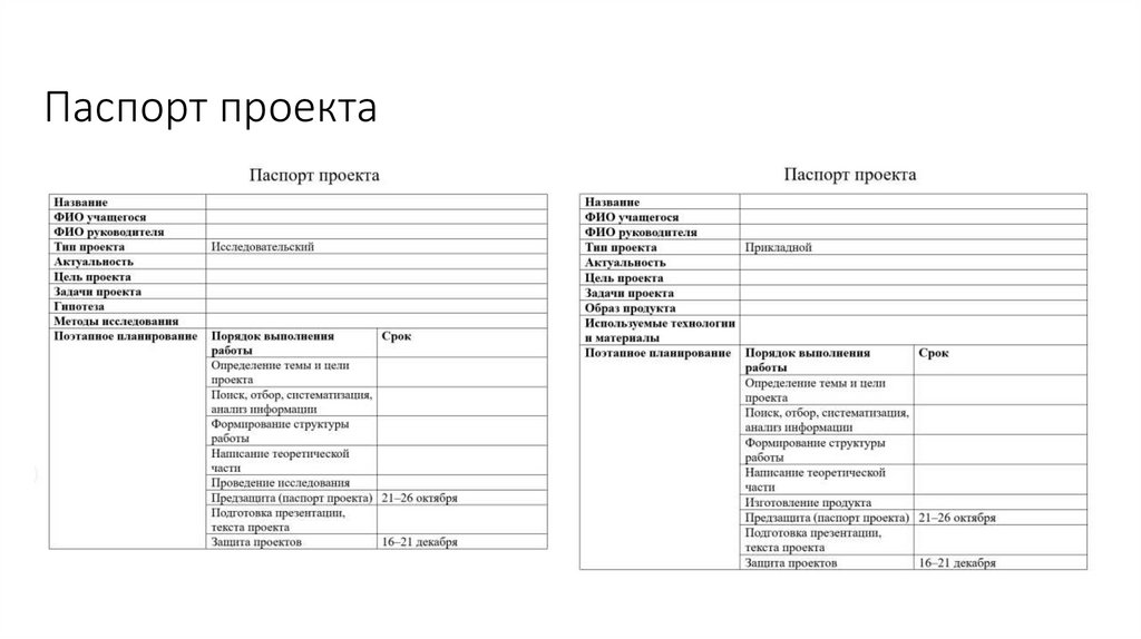 Паспорт проекта