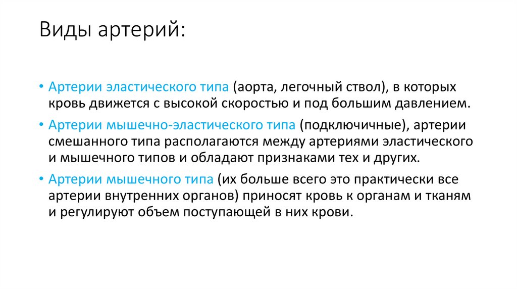 Виды артерий: