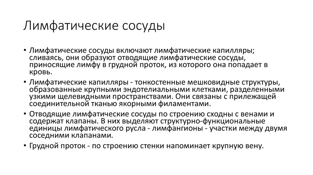 Лимфатические сосуды