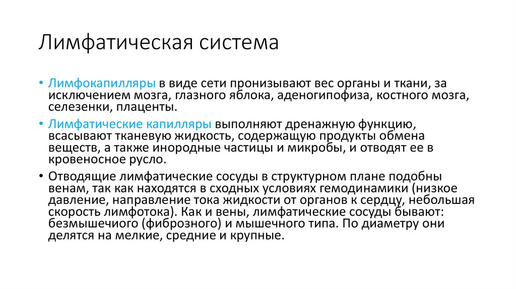 Лимфатическая система