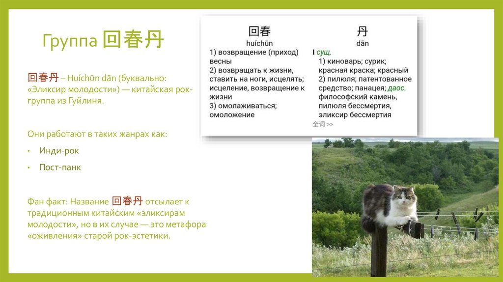 Группа 回春丹