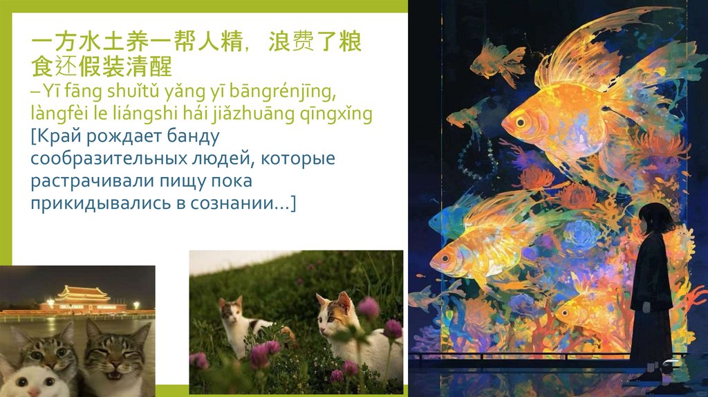 一方水土养一帮人精, 浪费了粮食还假装清醒 – Yī fāng shuǐtǔ yǎng yī bāngrénjīng, làngfèi le liángshi hái jiǎzhuāng qīngxǐng [Край рождает банду