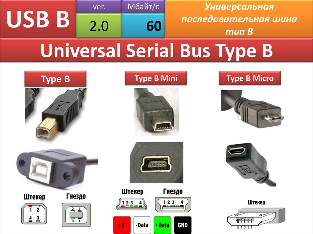 USB B