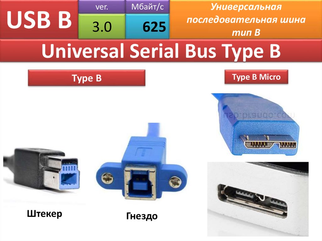 USB B