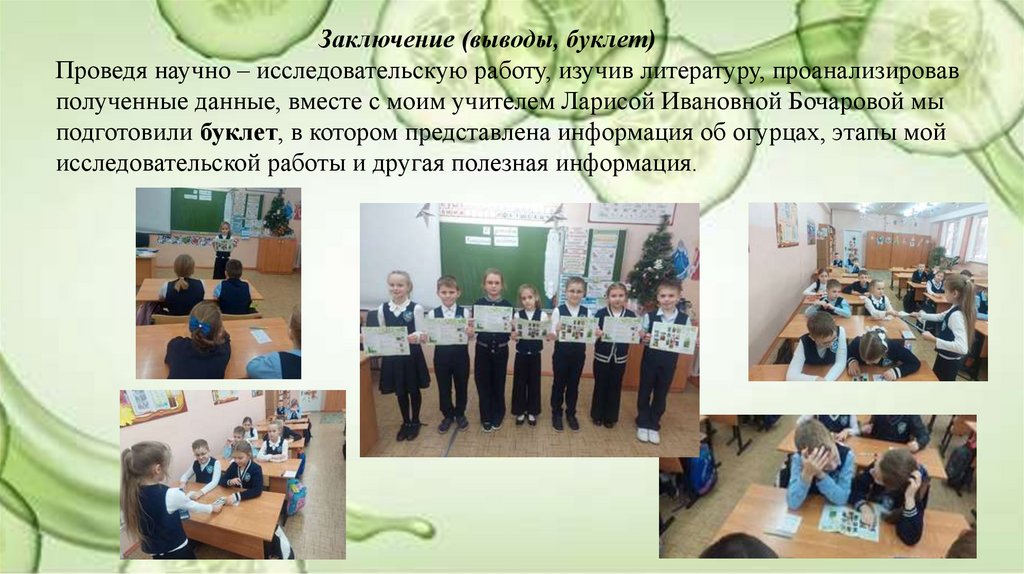 Заключение (выводы, буклет) Проведя научно – исследовательскую работу, изучив литературу, проанализировав полученные данные,