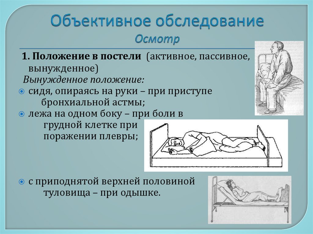 Объективное обследование Осмотр