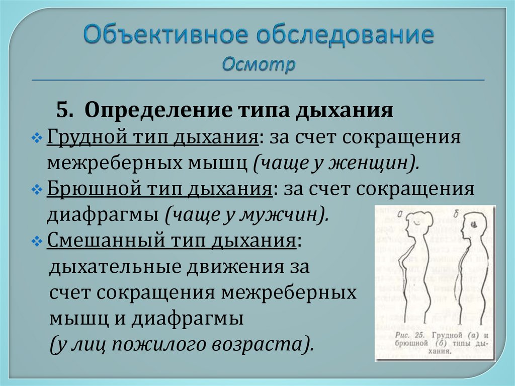 Объективное обследование Осмотр