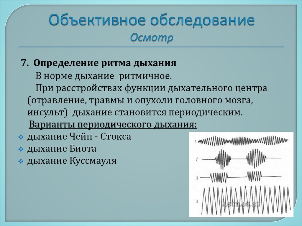 Объективное обследование Осмотр