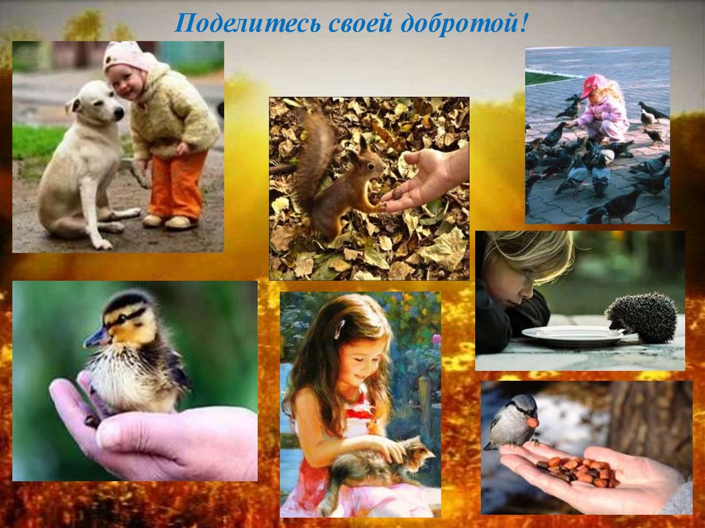 Поделитесь своей добротой!