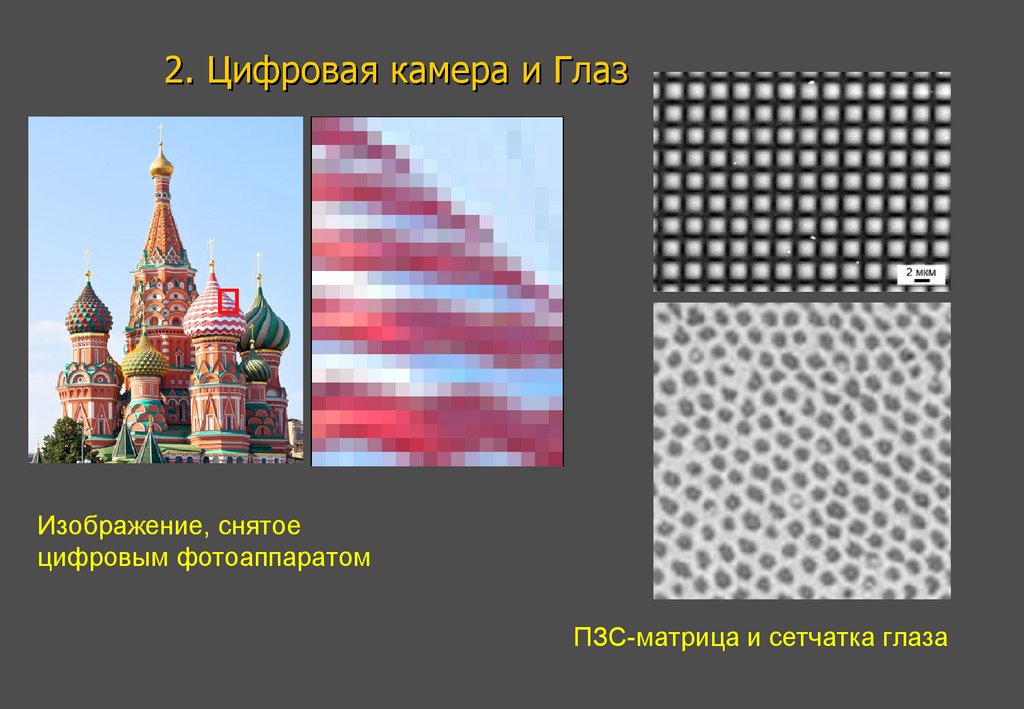 2. Цифровая камера и Глаз