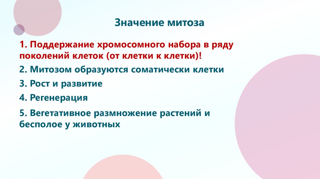 Значение митоза