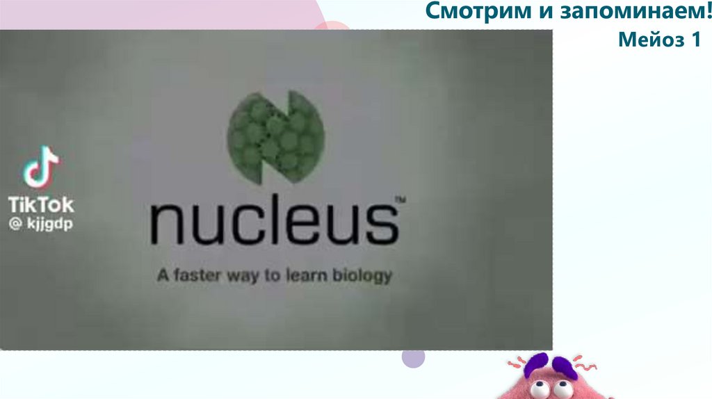 Смотрим и запоминаем!