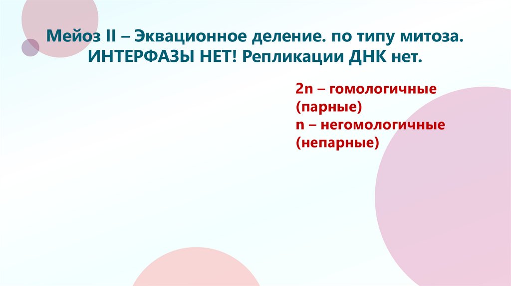 Мейоз II – Эквационное деление. по типу митоза. ИНТЕРФАЗЫ НЕТ! Репликации ДНК нет.