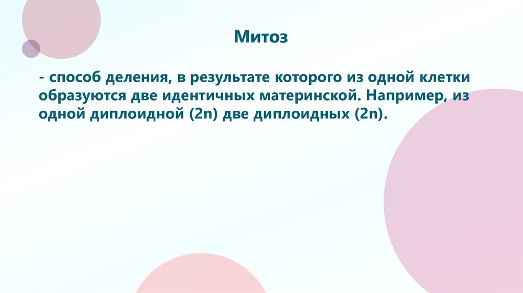Митоз