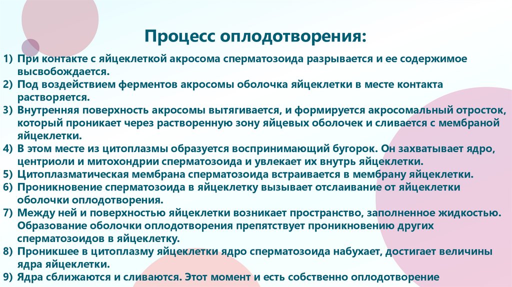 Процесс оплодотворения: