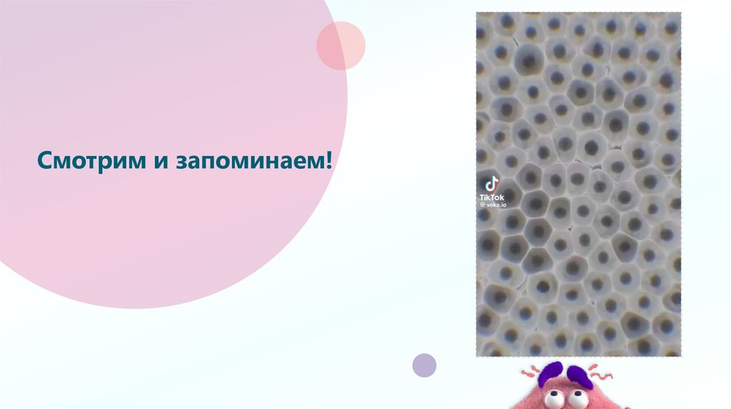 Смотрим и запоминаем!