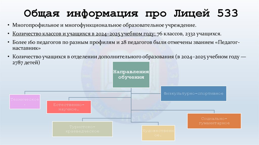 Общая информация про Лицей 533