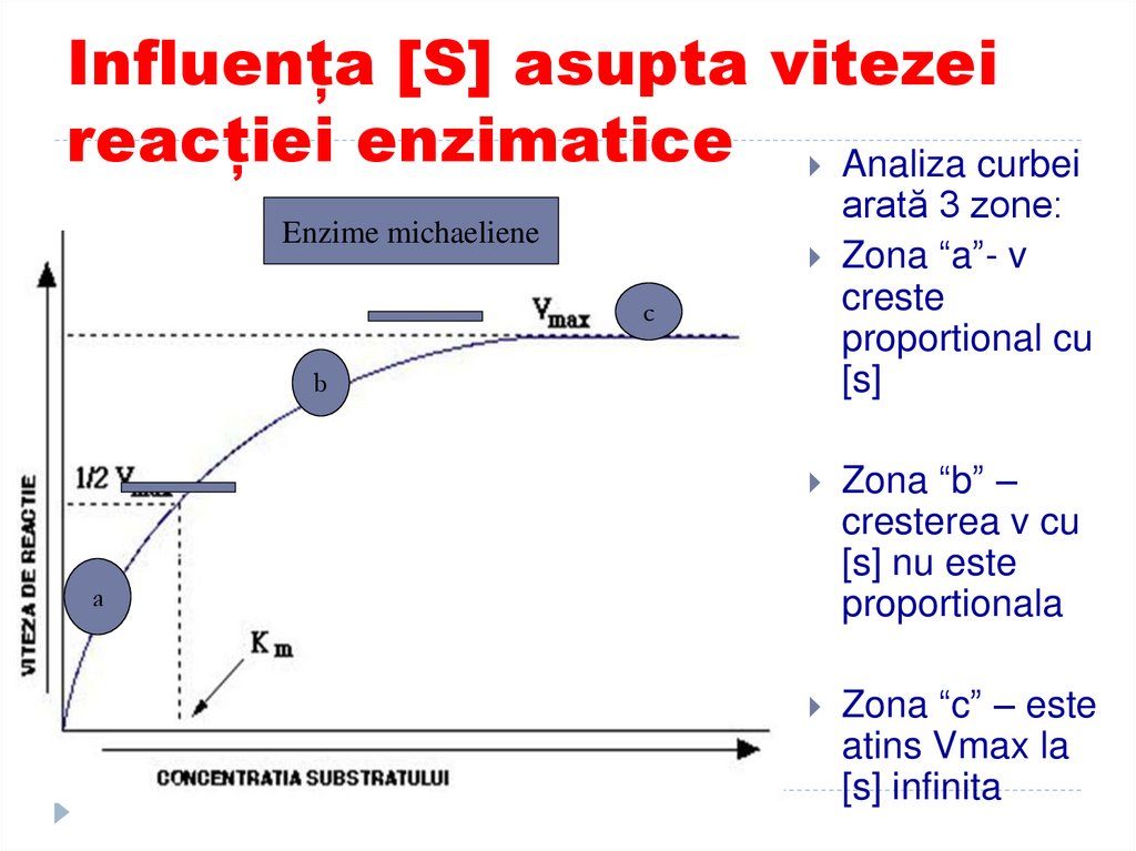 Influența [S] asupta vitezei reacției enzimatice