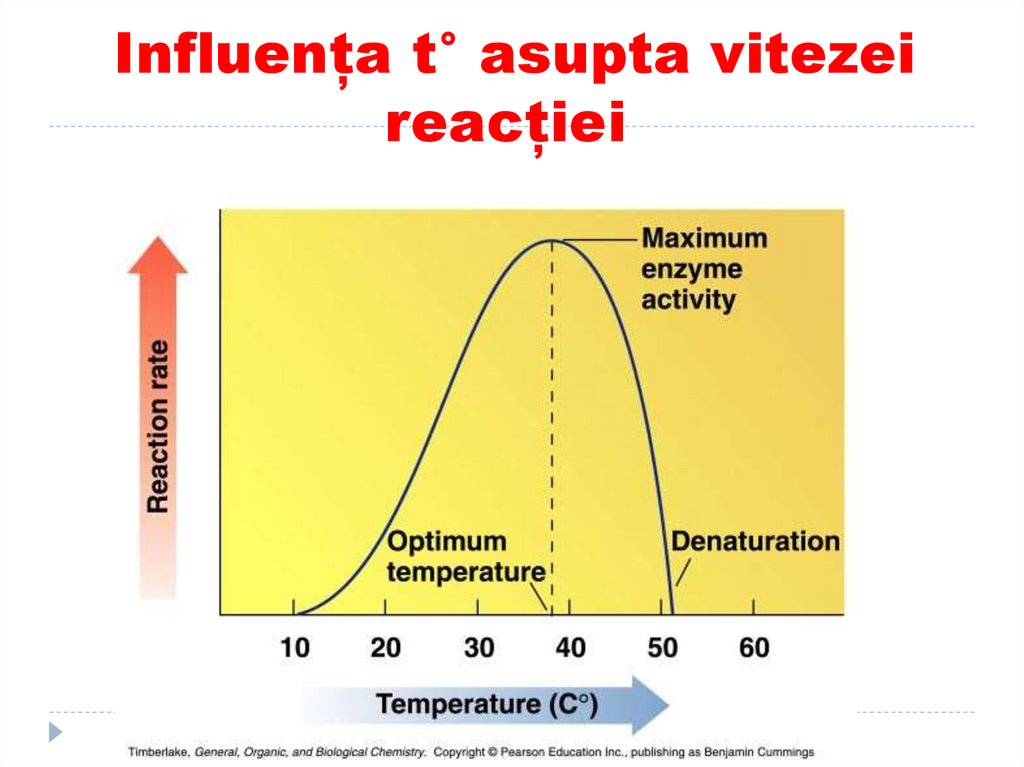 Influența t° asupta vitezei reacției